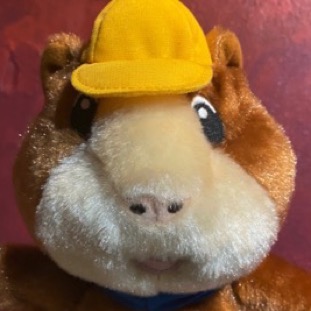 Image 3.png